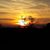 Carol Moore-Thunderdance's profile image