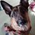 Christine Nelson Garrett's profile image