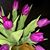 Katherine Portinga Knoploh's profile image