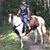 Jeremy Harless's profile image
