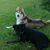 Cindy Coffey's profile image
