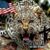 Sheri Harold's profile image