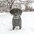 Carrie Spencer's profile image