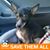 Debra Gillham-Wester's profile image