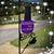 Tammy Jones Kilby's profile image