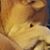 Bob Angell's profile image