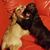 Terence Singleton's profile image