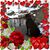 William Bonney's profile image