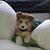 Yvette Fairbank's profile image
