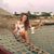 Caroline E. Fuchs's profile image