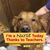 Sharon Blair Mattson-McCormack's profile image