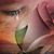 Carol Ashford Hess's profile image