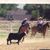 Kimberly Winslow Ytterberg's profile image