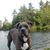 Eric Kukis's profile image