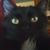 Pat Stubbs's profile image
