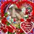 Marce Flores's profile image