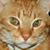 Kevin Watts's profile image