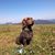 Heidi Siebenlist's profile image