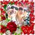 Paul Aliotti's profile image