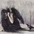 Tonya Lane Ferguson's profile image