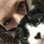 Cat McCoy's profile image