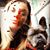 Joanne Finley Stegmoyer's profile image