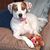 Susan Coomber's profile image