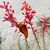 Deeptii Joshi's profile image