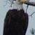 Howard Moody's profile image