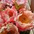 Di Ane B Aum's profile image