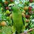 Ivonne Medina Castillo's profile image