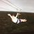 Nichole Green's profile image