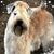 Cindy Pierce's profile image