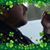 Hailey Taylor-Briere's profile image