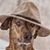 Stephen Reynolds's profile image