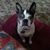 Karen Willems's profile image