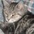 Karen Findley's profile image