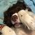 Barbara Colleen Feeney's profile image