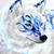 Daved Miner's profile image