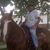 Lawrence Brinton's profile image