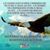 Alicio Lopez Luis's profile image