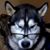 Bridgette Marie Milgie's profile image