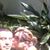 Xelartlihcox Marpas's profile image