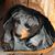 Lisa Herritt-Faust's profile image