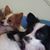 Jennetta Trower's profile image