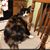 Christy Priest's profile image