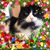 Dee Gante's profile image