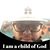 Tony Mags's profile image
