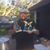 Ralston Coates's profile image