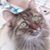 Georgiann Kite's profile image
